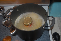 shrimp pasta 5