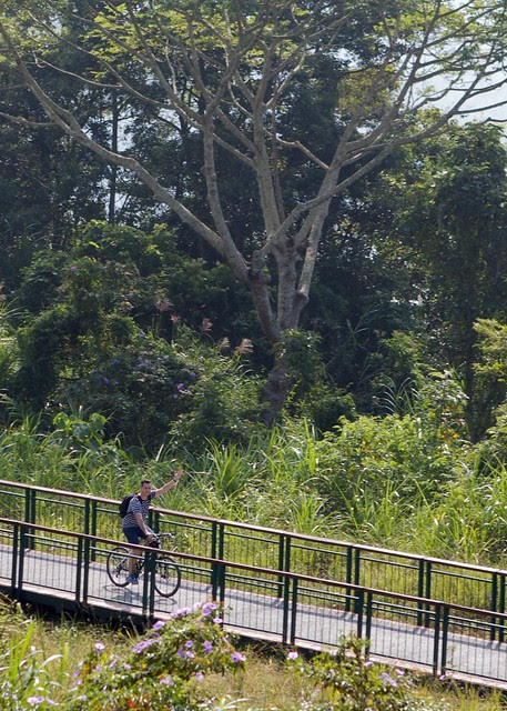 Taiwan2012Oct  18842 - Version 2