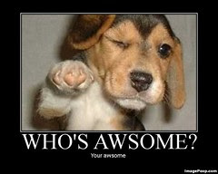 whos_awsome