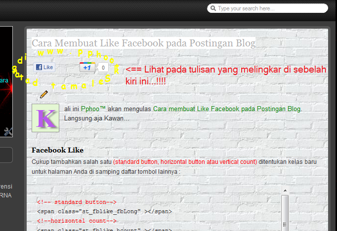 pphoo.tk