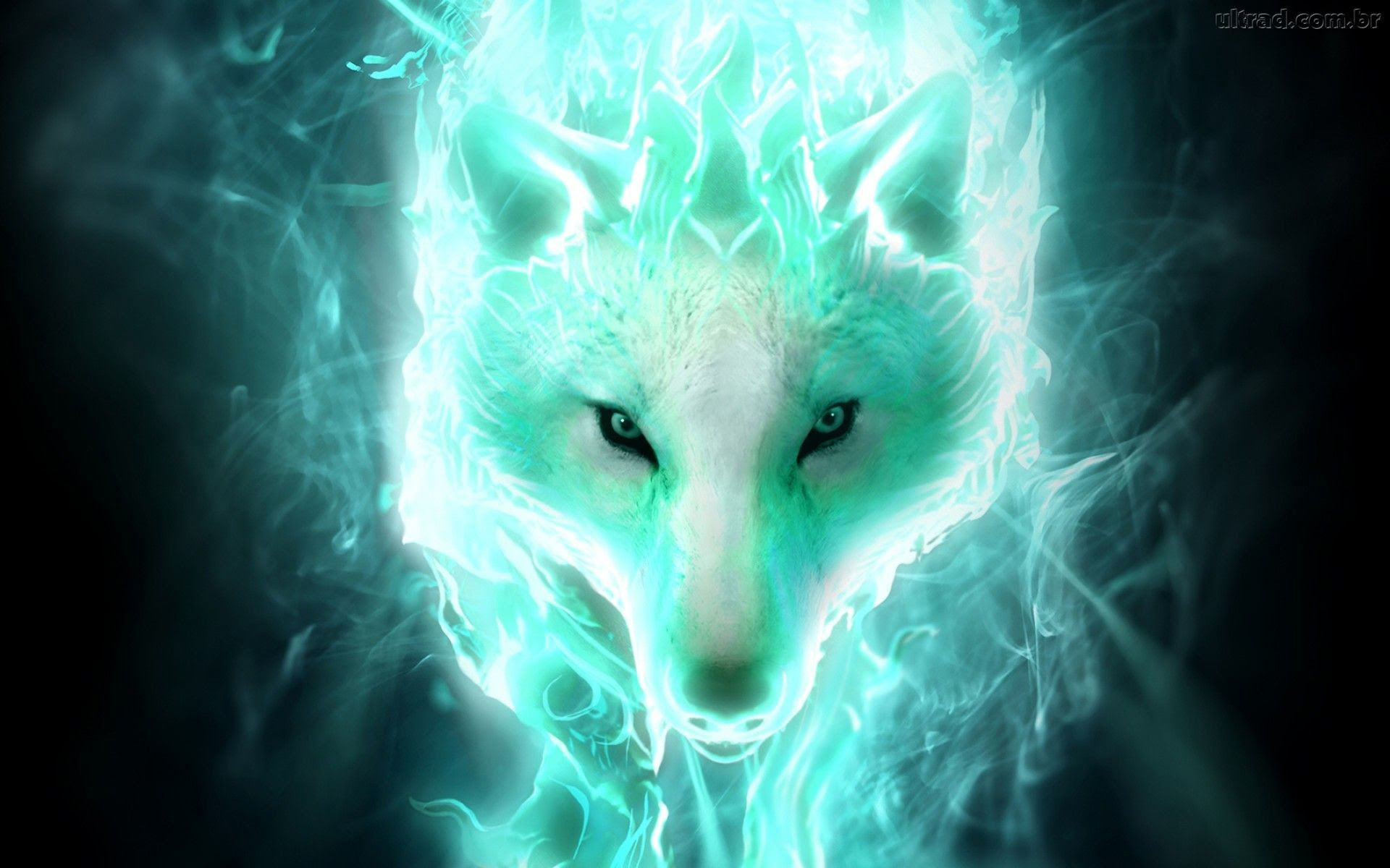 Cool Wolf Wallpapers (59+ images)
