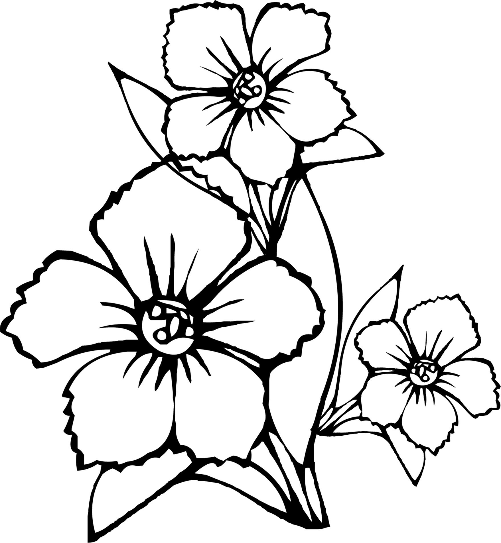 Download Free Printable Flower Coloring Pages For Kids - Best ...