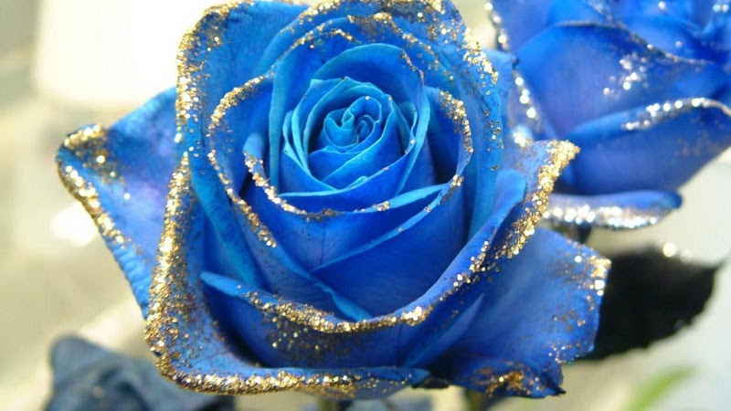 How To Paint A Rose Blue At Home Instructions Flower Blog