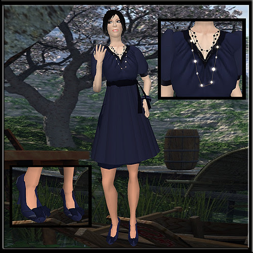 Token_Navy Dress