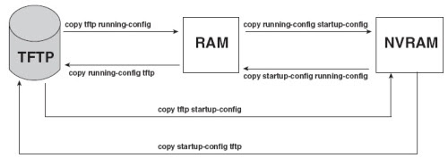 7-copy