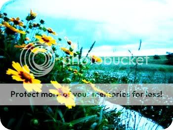 photography Pictures, Images and Photos