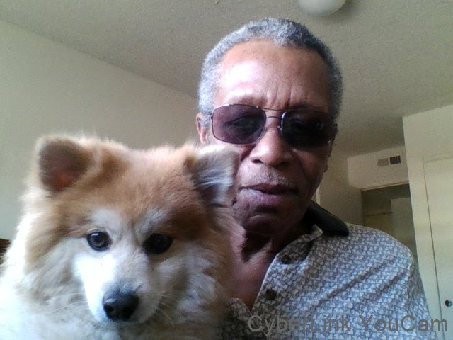 SkyAdBoard - Free Traffic, Hits and Ads. Post Your Ads for FREE!