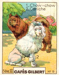 gilbert chiens012