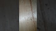 23+ Lemari Kayu Rusak, Paling Top