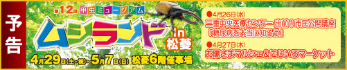 2017musiyokoku_ban2.jpg