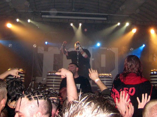 IMG_0158 crop color corrected