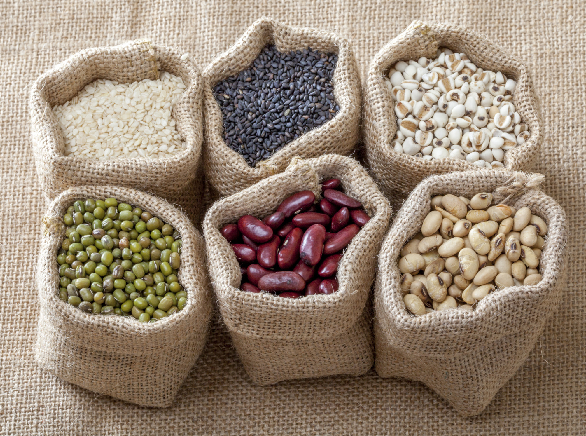A List of High Protein Foods for Those With Cancer | Healthfully