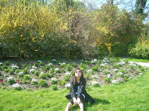 Photobucket