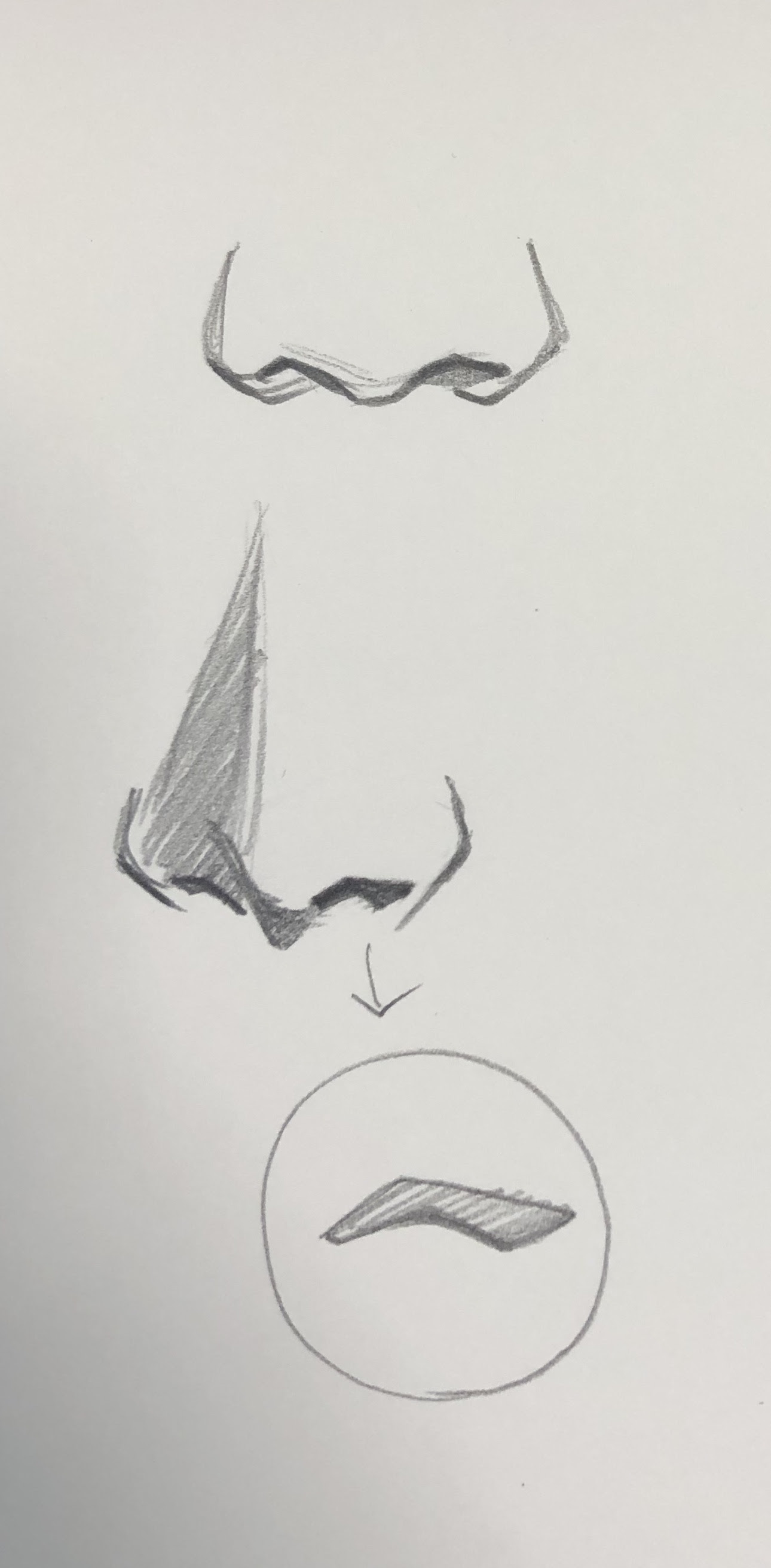 顔は似せなければ簡単に描けるようになる話 絵画デッサン屋 Houichi美術絵描き研究所