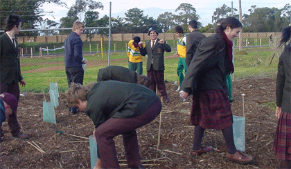 Justice of peace werribee