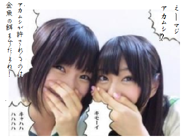 キモーイ アカムシが許されるのは ぼくのノドをうるおす金魚たち