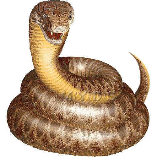 蛇の年賀状イラスト 条件付フリー素材集 無料年賀素材