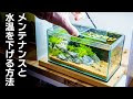 25 ++ サンゴ 水温 水槽 137741-サンゴ 水槽 水温