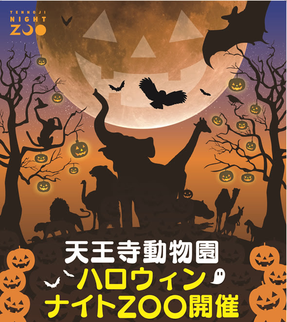 天王寺区 ハロウィンも動物園で ナイトzooが秋にも開催されますよ 号外net 天王寺 阿倍野