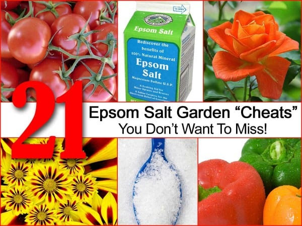 21-epsom-salt-cheats-dont-miss-red