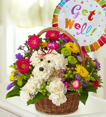 Get Well - Tropical Flower Design