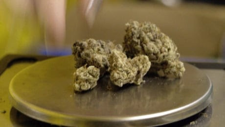 Veterans Marijuana 20170103