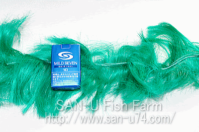 金魚 飼育器具 小売 通信販売 通販 卸売 業販 Kingyo きんぎょ キンギョ 問屋 ネット販売 金魚すくい 草 病気 産卵用品 商品を探す 会員サイト トップ 水産飼料 観賞魚用飼料 自動給餌機 冷凍飼料 活餌 耐久卵 ブラインシュリンプ ブライン孵化器 サプリメント