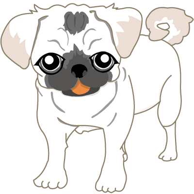 Japanese 無料素材イラスト 商用可 パグのプイプイ English Free Download Picture Dutch Mastiff The Name Puipui Masaya Suzuki Footsteps 足音 鈴木将也