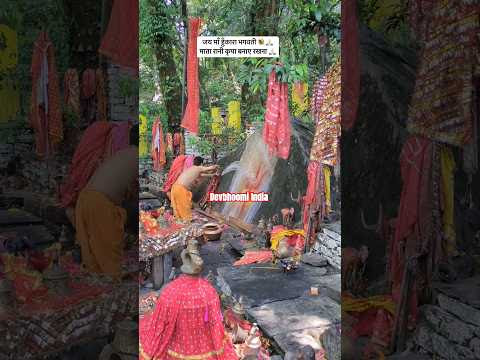 चित्र