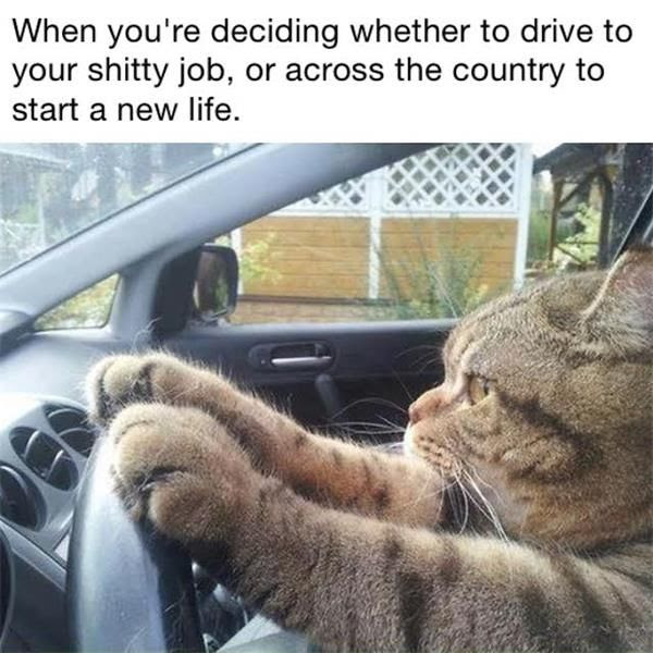 day funny start at quotes the work to Your Drive Or Whether When Deciding Your To Job Across To