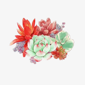 水彩多肉植物素材免抠图片免费下载 Png素材 编号1l0ix3lx5 图精灵