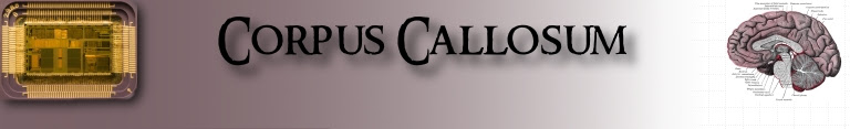 The Corpus Callosum Banner