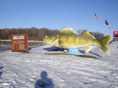 World's Largest Walleye