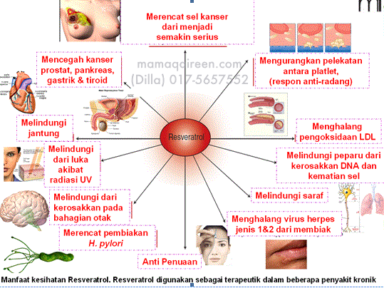 Khasiat Dan Kehebatan Resveratrol Yang Perlu Anda Tahu 