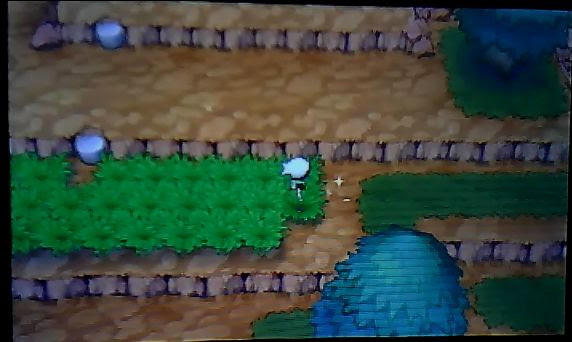 ポケモンorasバンギラスナイト入手方法 場所 オメガルビーアルファサファイア ポケモンoras最新情報 オメガルビーアルファサファイア攻略も