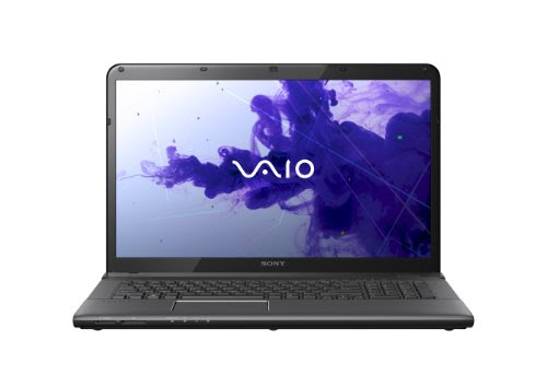 Sony VAIO E17 Series SVE17125CXB 17.3-Inch Laptop (Black)