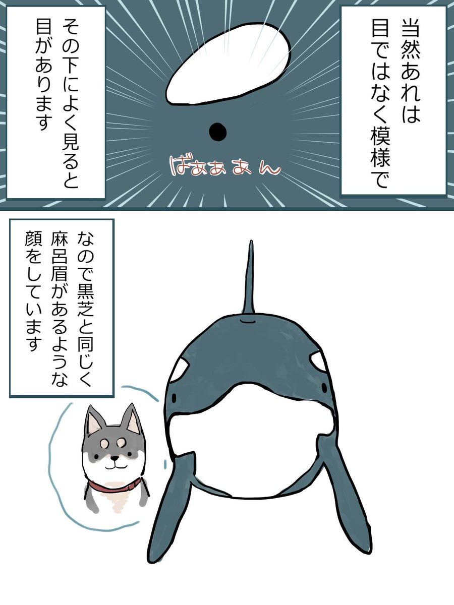 無料イラスト画像 元のかっこいい リアル 魚 イラスト