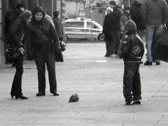 moribund dove_3