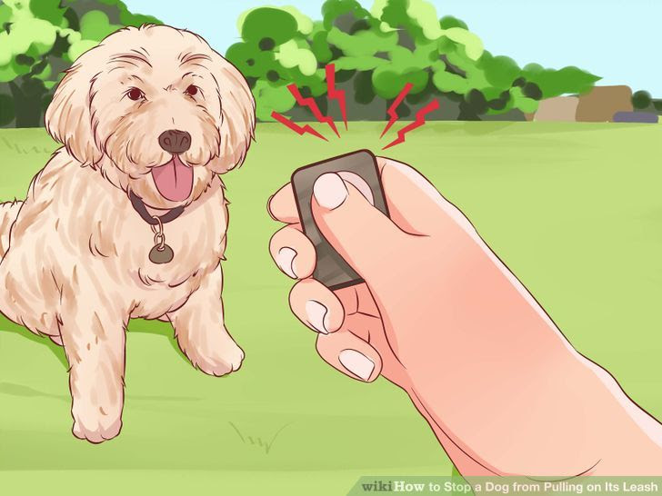 Stop a Dog from Pulling on Its Leash Step 6.jpg