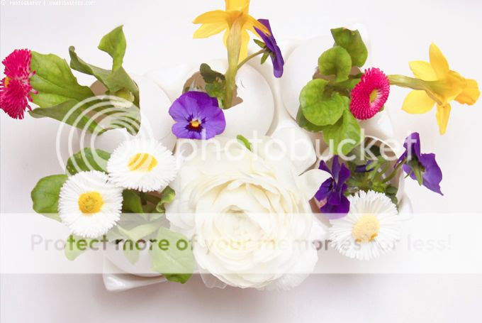 http://i402.photobucket.com/albums/pp103/Sushiina/cityglam/eierdeko3_zps3ea0dd67.jpg