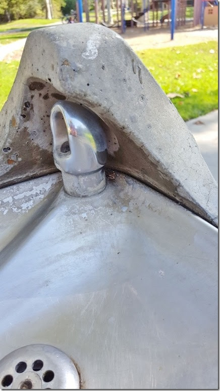 tiny frog on my run blog (450x800)