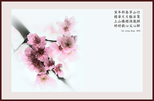 cherry-blossom