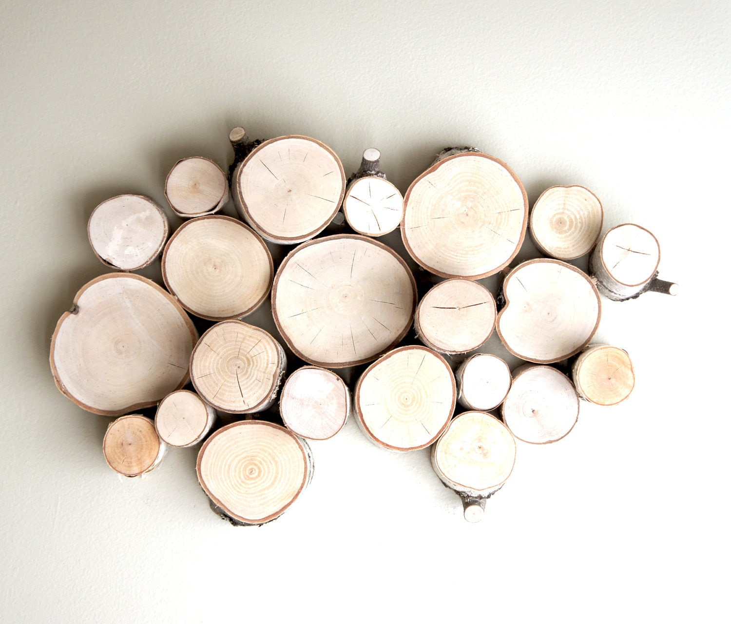 white birch forest topography - organic wood wall art (medium)