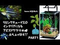 √完了しました！ テトラ リビングキューブ 12 口コミ 118269