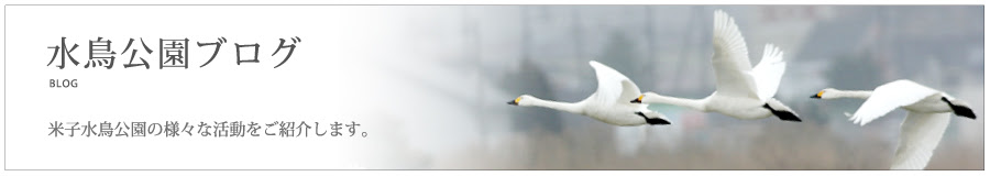 米子水鳥公園