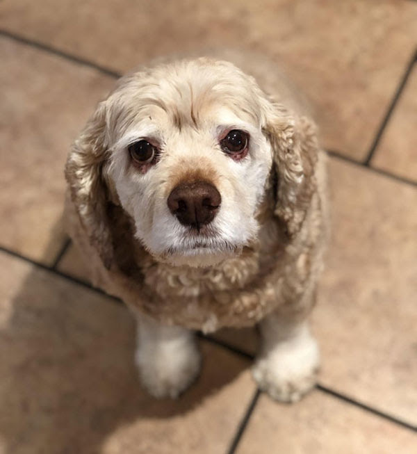 This is my twelve year old girl, Miss Chloe Belle