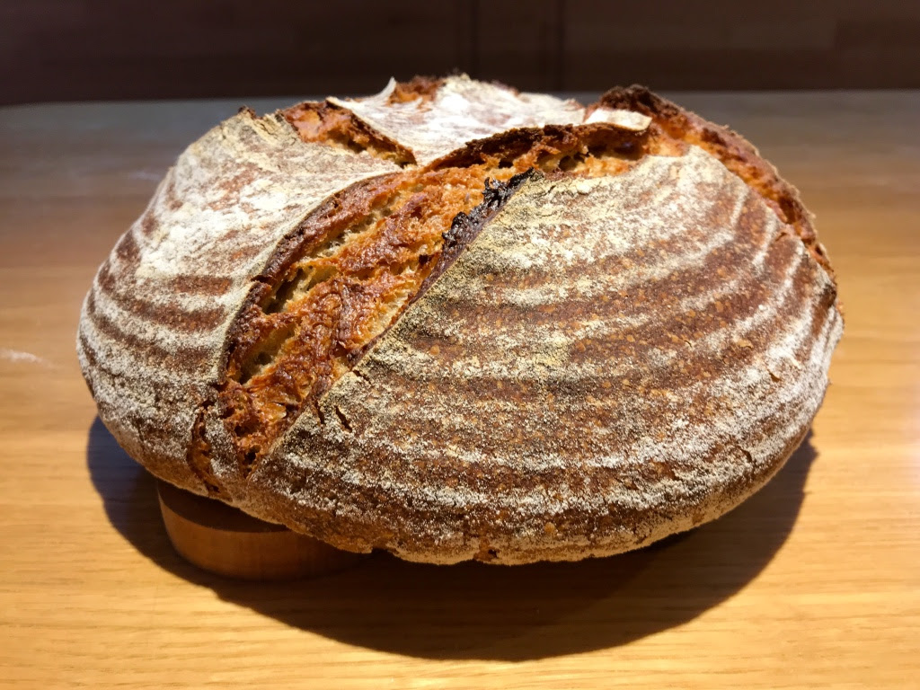 Barley - Rye Bread | The Fresh Loaf