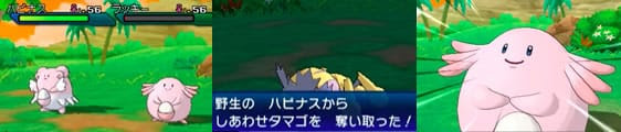 ラッキー連鎖道場レベル上げとしあわせタマゴ入手方法 Usum攻略de Com