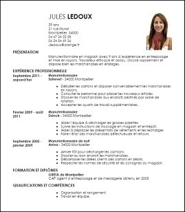Cv Manutentionnaire Exemple  Lettre De Motivation