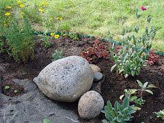 Rock Garden